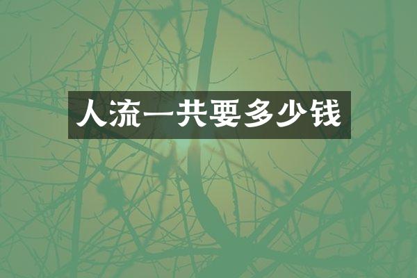 人流一共要多少钱