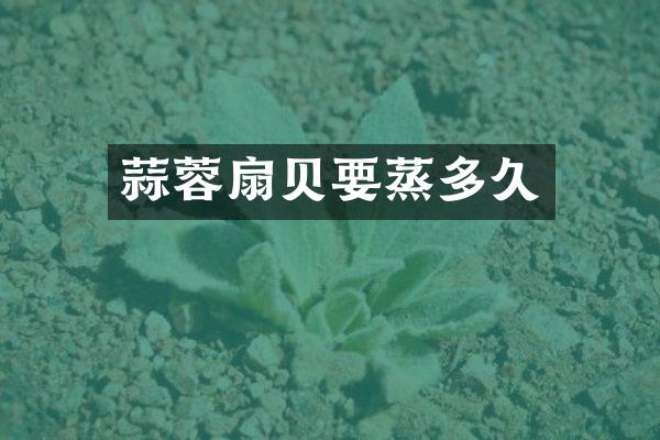 蒜蓉扇贝要蒸多久