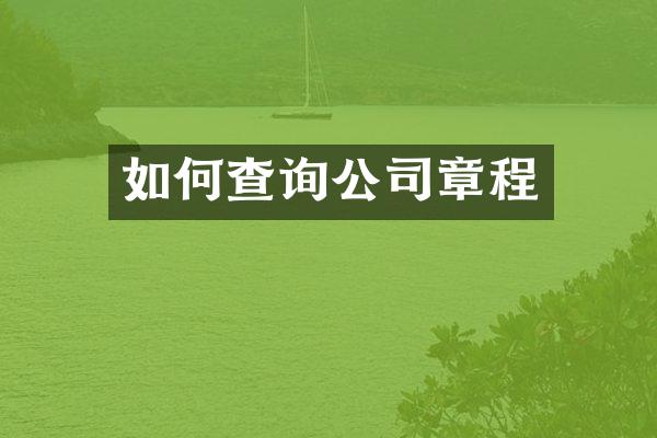 如何查询公司章程