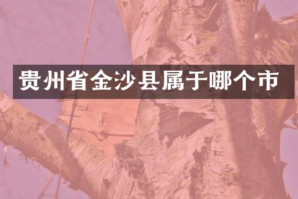 贵州省金沙县属于哪个市