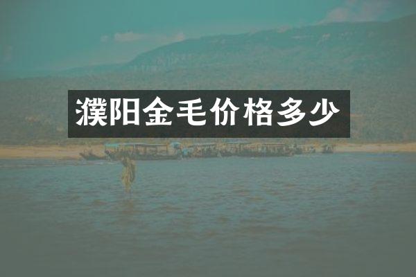 濮阳金毛价格多少
