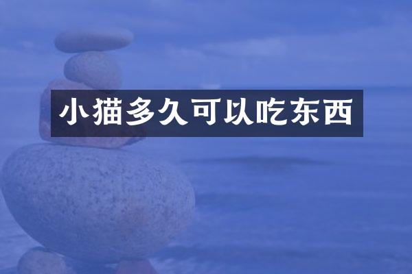 小猫多久可以吃东西