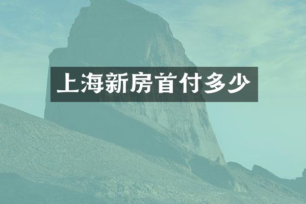 上海新房首付多少