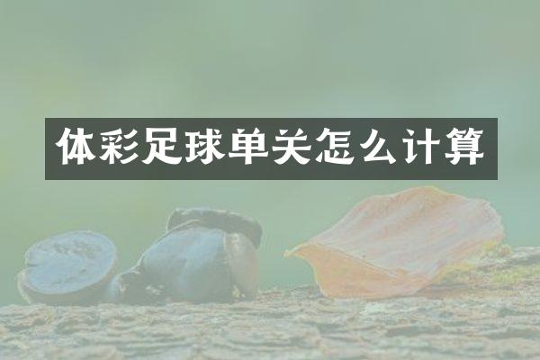 体彩足球单关怎么计算