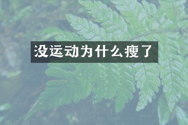 没运动为什么瘦了