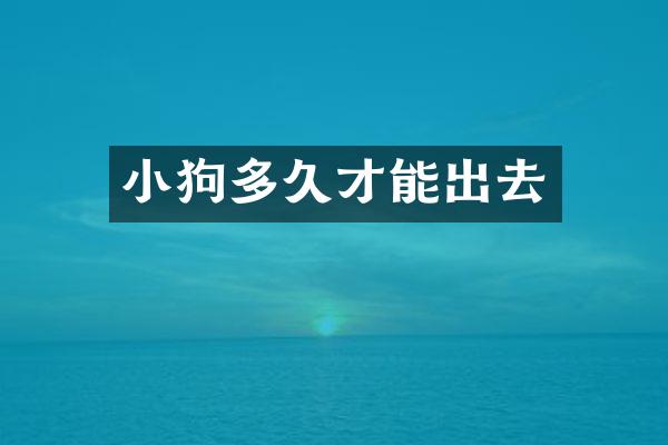 小狗多久才能出去