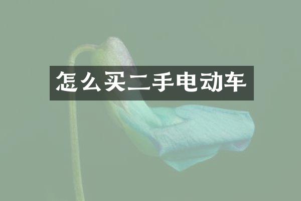 怎么买二手电动车