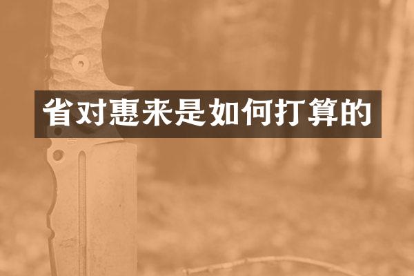 省对惠来是如何打算的