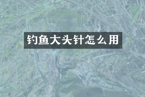 钓鱼大头针怎么用