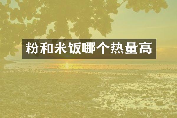 粉和米饭哪个热量高