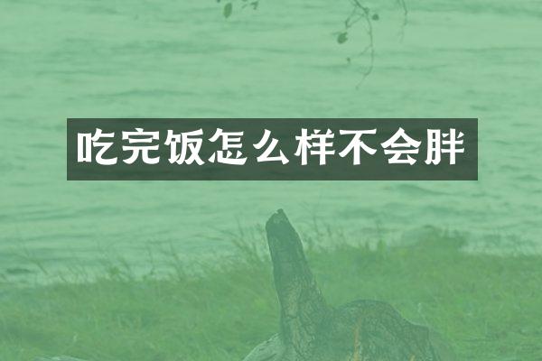 吃完饭怎么样不会胖