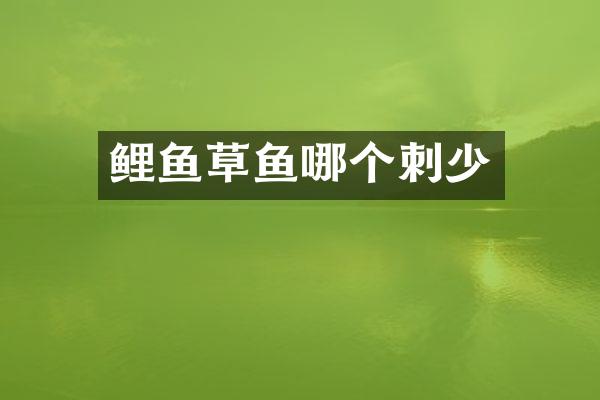 鲤鱼草鱼哪个刺少
