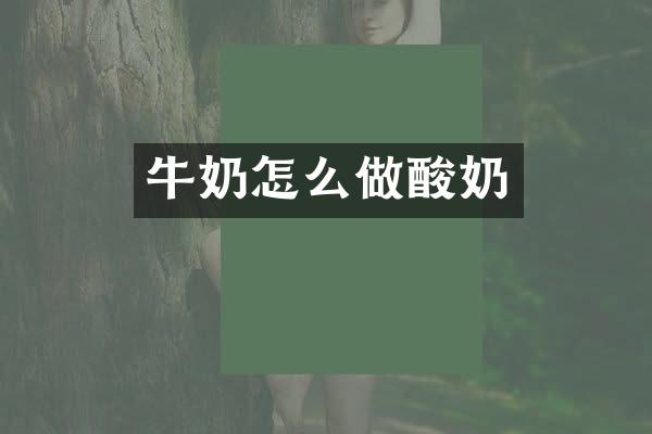 牛奶怎么做酸奶