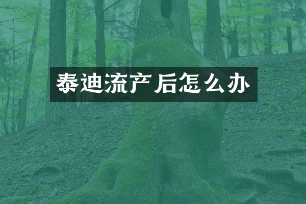 泰迪流产后怎么办