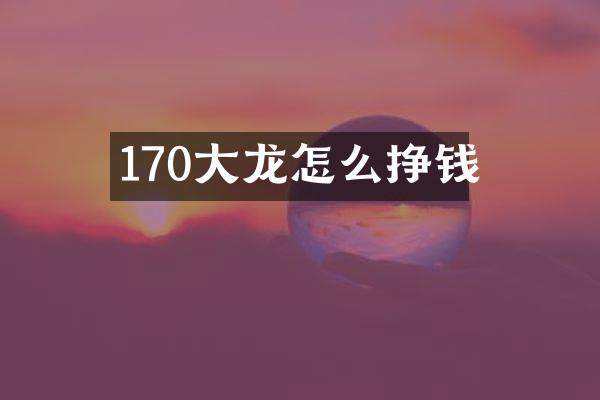 170大龙怎么挣钱