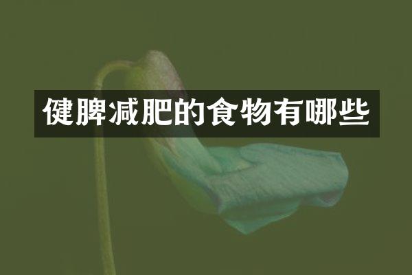 健脾减肥的食物有哪些