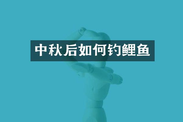 中秋后如何钓鲤鱼