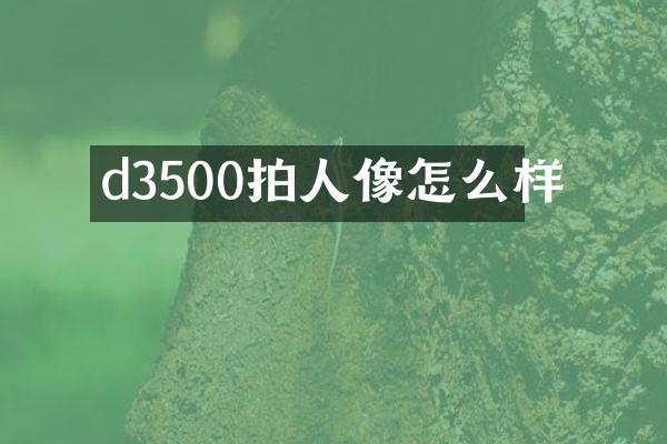 d3500拍人像怎么样