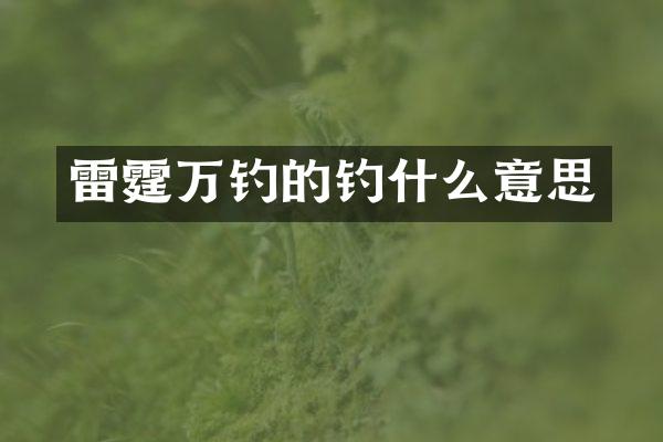 雷霆万钓的钓什么意思