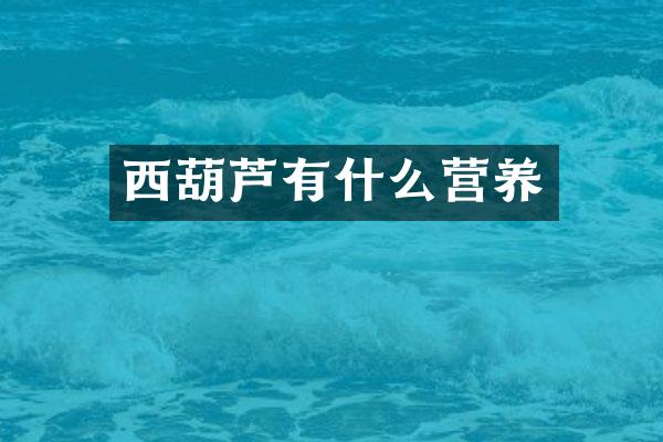 西葫芦有什么营养