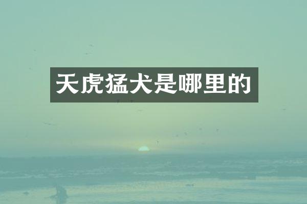 天虎猛犬是哪里的
