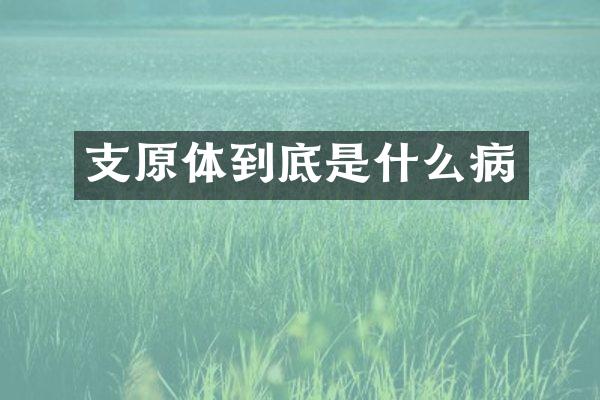 支原体到底是什么病