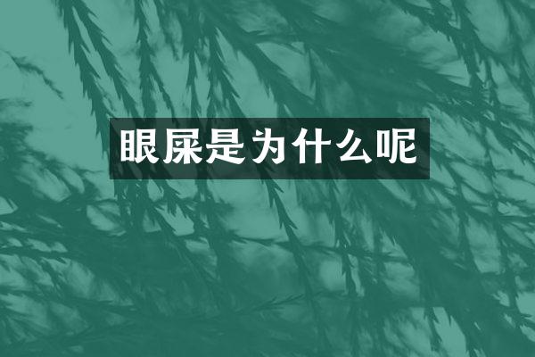 眼屎是为什么呢