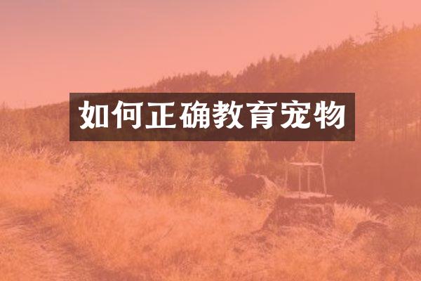 如何正确教育宠物