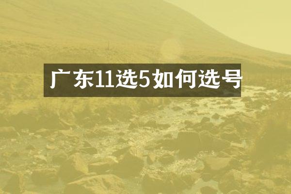 广东11选5如何选号