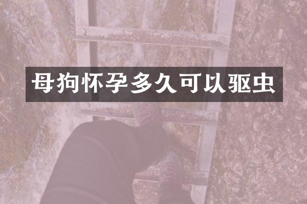 母狗怀孕多久可以驱虫