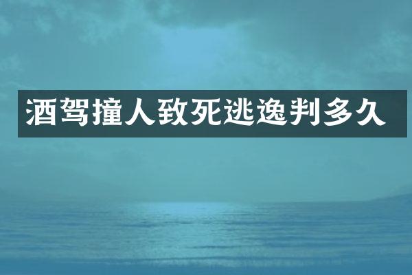 酒驾撞人致死逃逸判多久