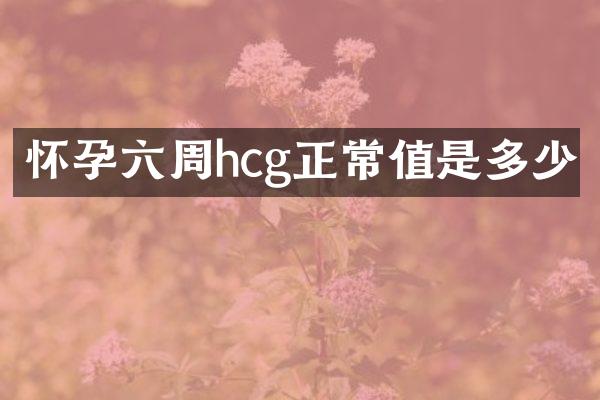 怀孕六周hcg正常值是多少
