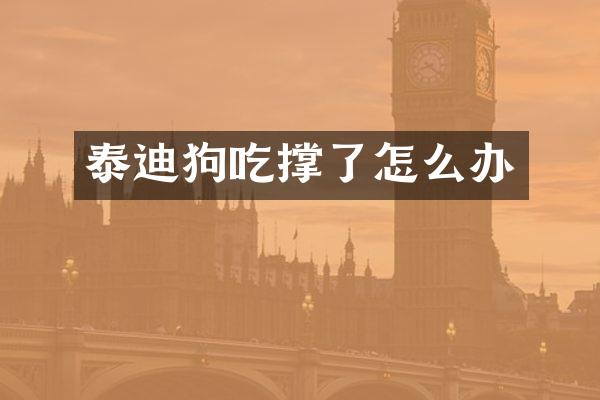 泰迪狗吃撑了怎么办