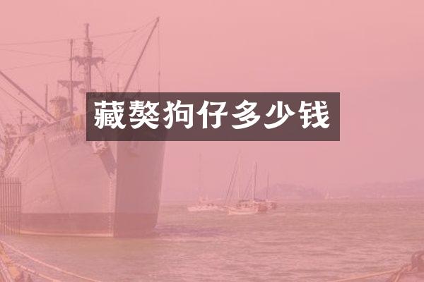 藏獒狗仔多少钱
