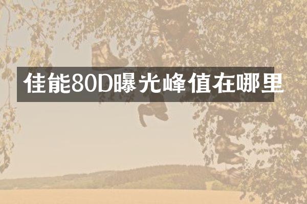 佳能80D曝光峰值在哪里