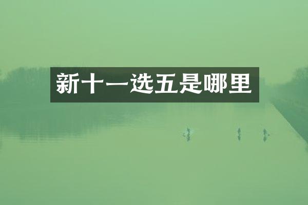 新十一选五是哪里