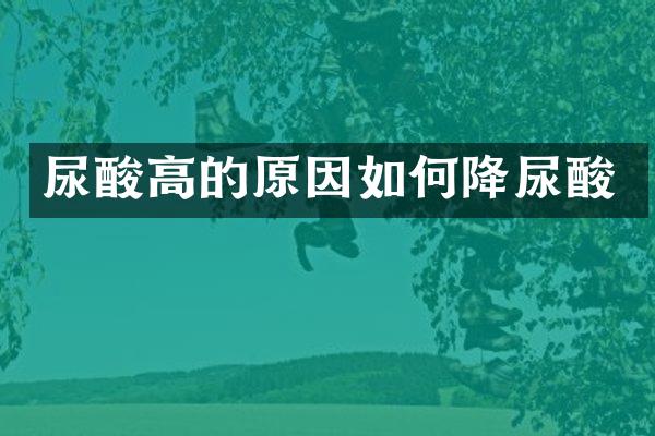 尿酸高的原因如何降尿酸