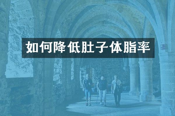 如何降低肚子体脂率