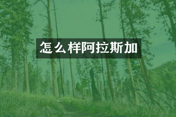怎么样阿拉斯加
