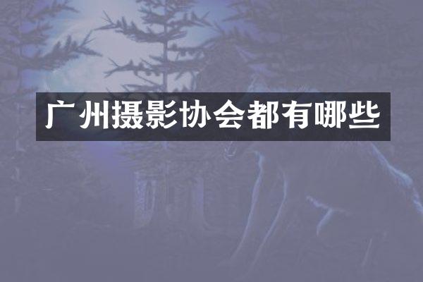 广州摄影协会都有哪些