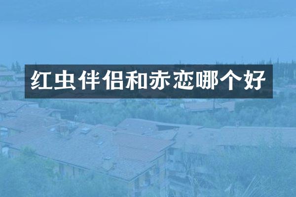 红虫伴侣和赤恋哪个好