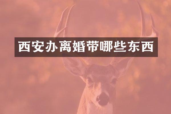 西安办离婚带哪些东西