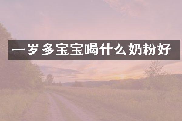 一岁多宝宝喝什么奶粉好