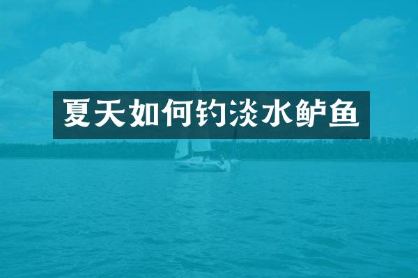 夏天如何钓淡水鲈鱼