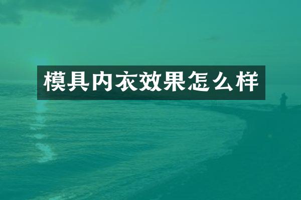 模具内衣效果怎么样