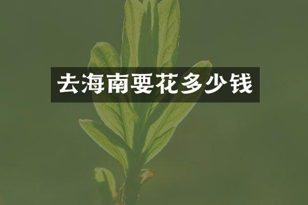 去海南要花多少钱