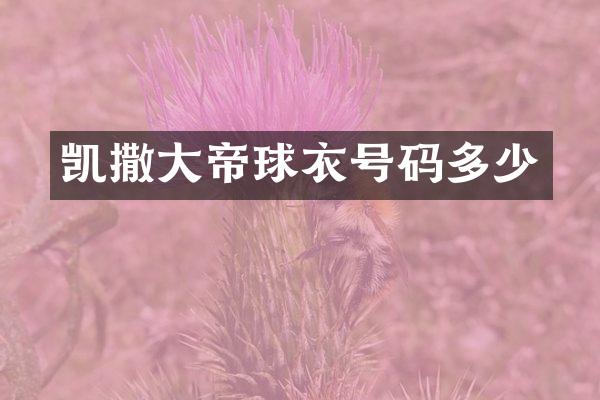 凯撒大帝球衣号码多少