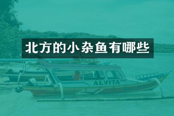 北方的小杂鱼有哪些