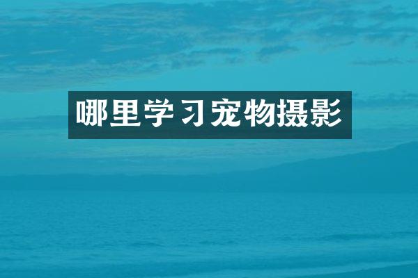 哪里学习宠物摄影