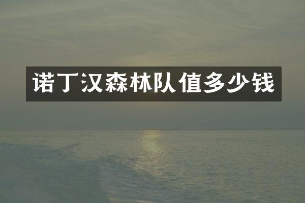 诺丁汉森林队值多少钱